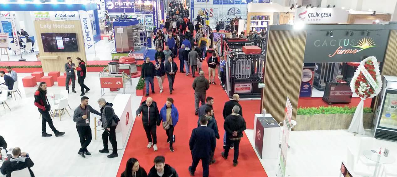 图片.png2.png 图片.png2.png